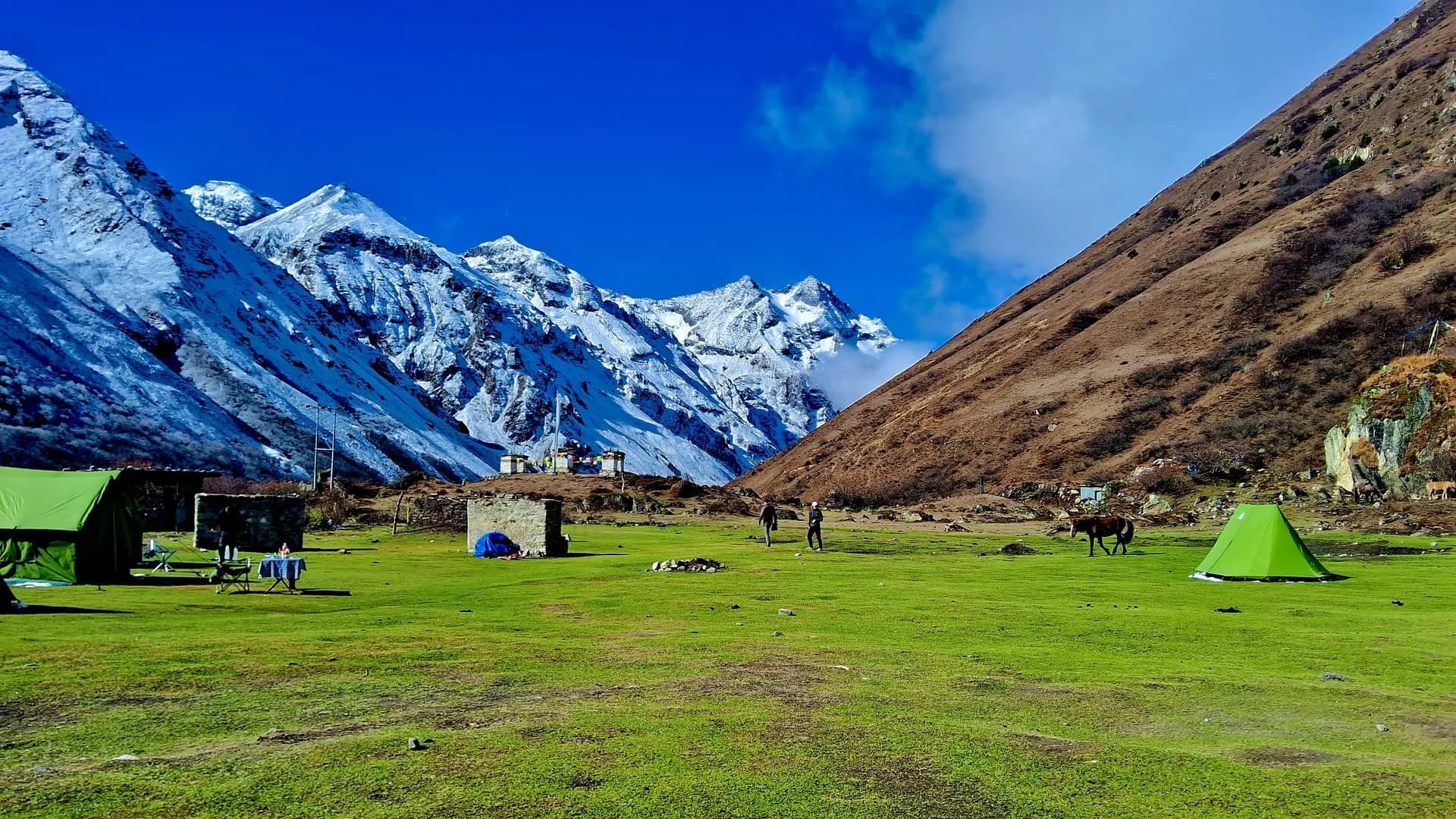 Bhutan's landscape through the seasons