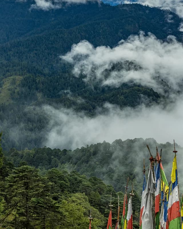 Misty forested mountains with prayer flags at Dochula Pass