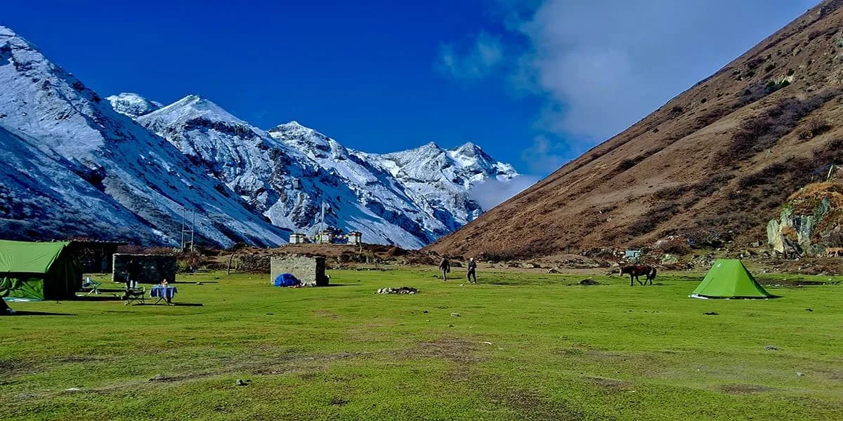 Highland campsite on the Merak Sakteng trail in eastern Bhutan
